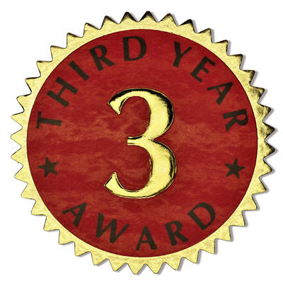 3rd Year Award